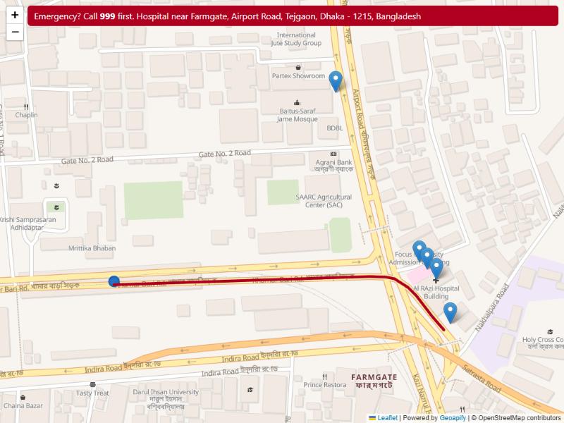 HTML map for Farmgate: your position (blue), hospitals (markers) and the route to the fastest one (red)